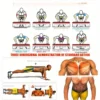 [Mejor Valorado] Tabla de Flexiones Portátil Lingpeng - Multifuncional, Plegable Abdomen, fuerza - Imagen 3